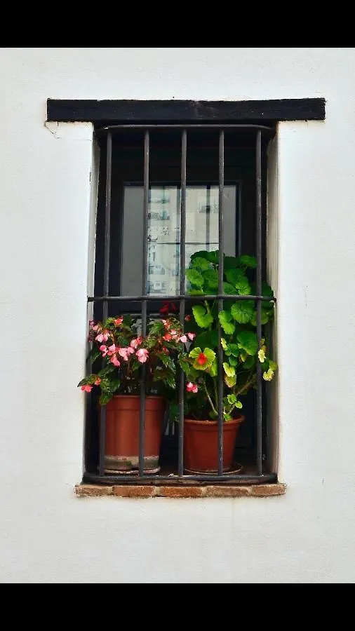 Casaspa7 Cortes de la Frontera