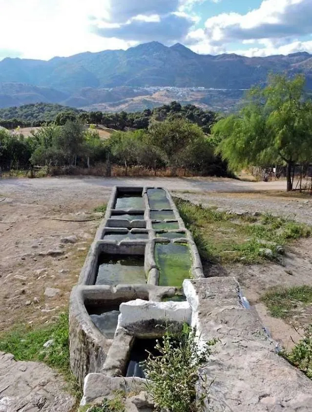 Casaspa7 Cortes de la Frontera Country house